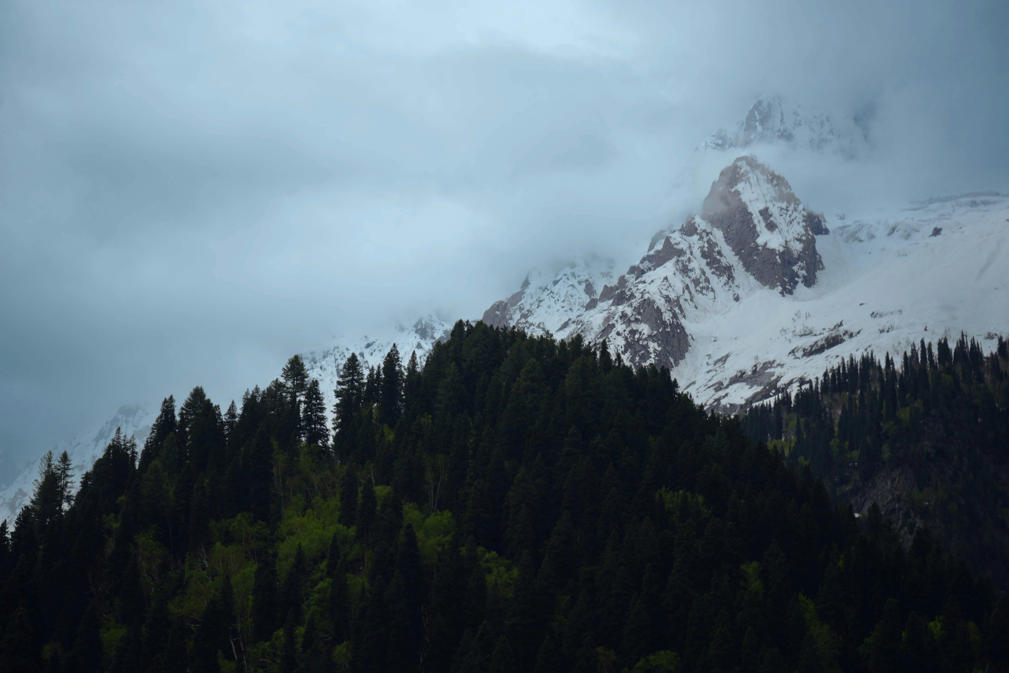 People hiking on a mountain trail